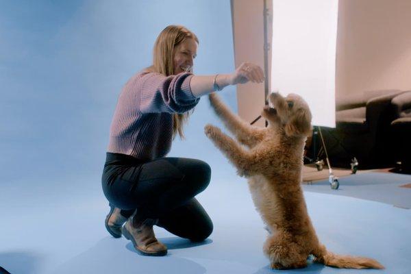 Pet Portraits Session – LIV